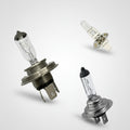 Small Assortment of Headlight Bulbs (Most Popular)  4 x H7/499, 2 x H4/472, 2 x H1/448